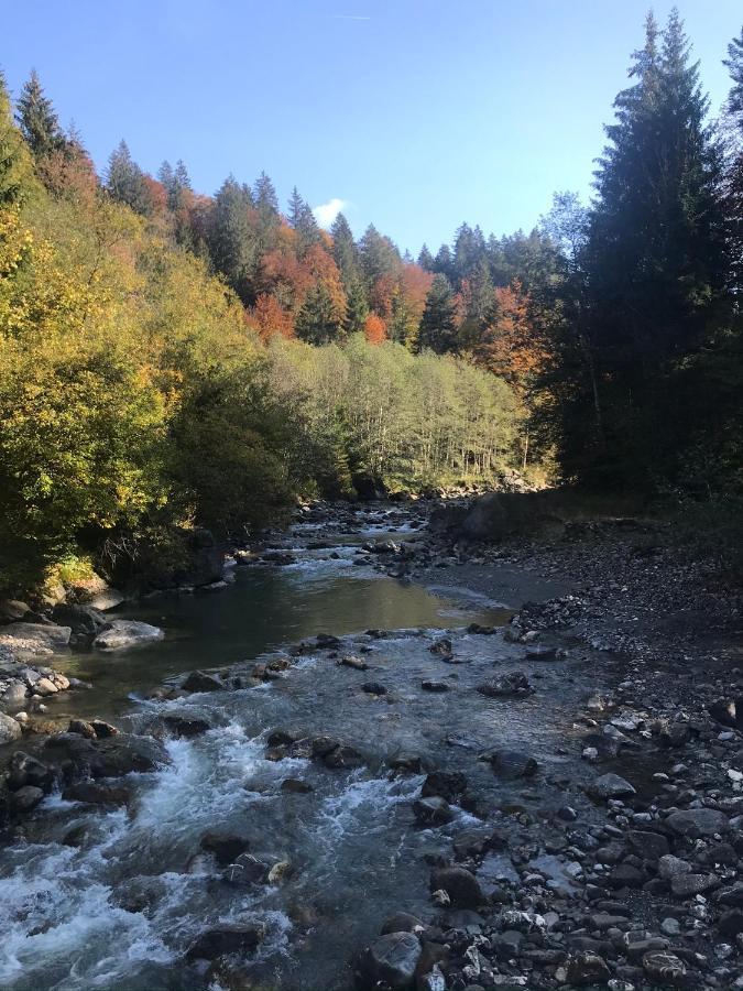 Ferienwohnung Morgentau Am Rande Der Wildnis Sibratsgfäll Extérieur photo